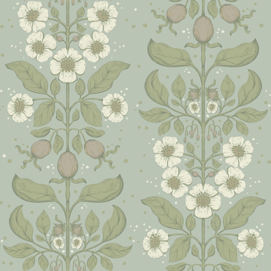 Rosa Sky Blue Wallpaper