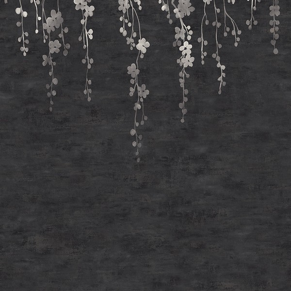 Sakura Blooms Black Wall Mural