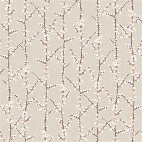 Sakura Row Spring Blossom Wallpaper