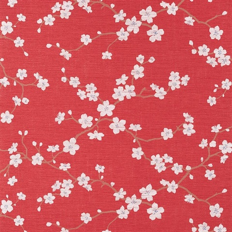 Sakura Wallpaper