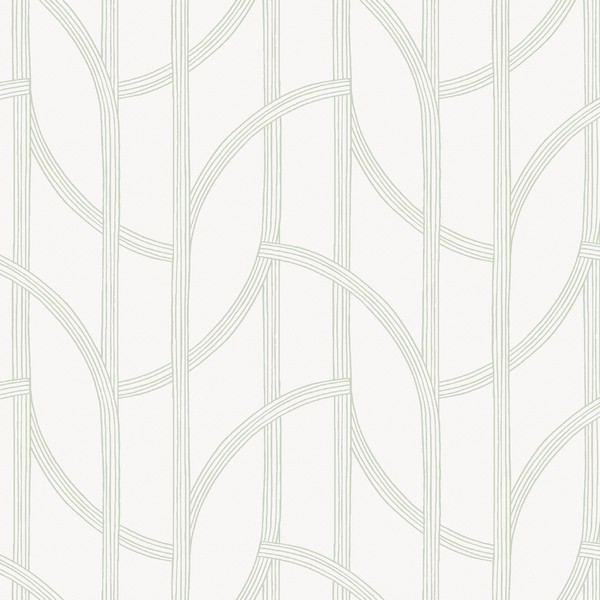 Salvo Light Green Curved Contours Wallpaper