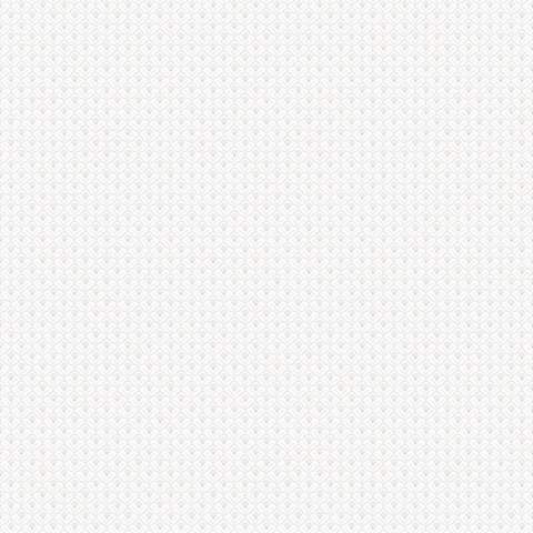 Secret Scallop Wallpaper