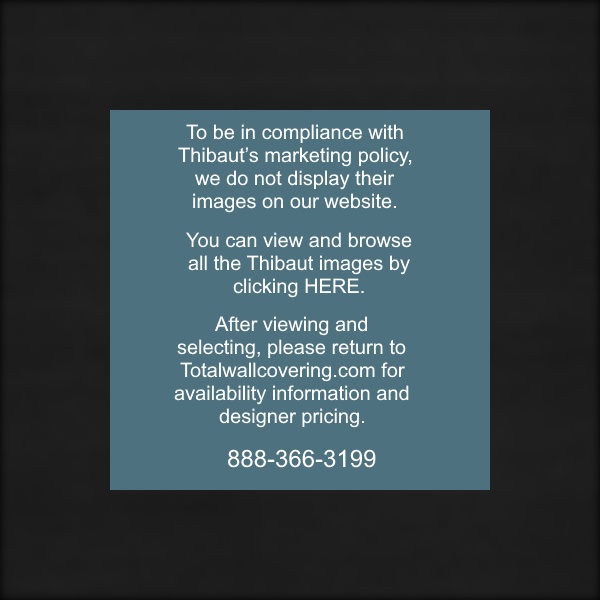 Shang Extra Fine Sisal Black Grasscloth Wallpaper