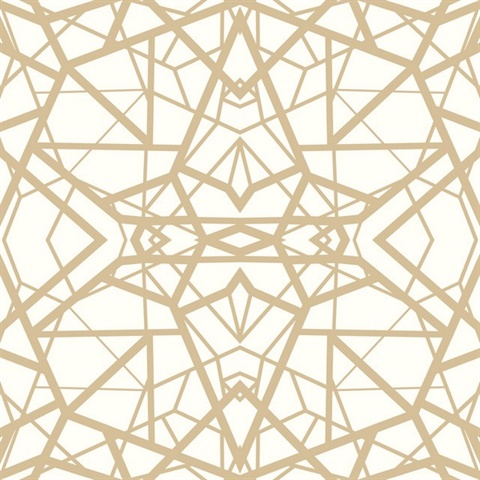 Shatter Geometric P & S Wallpaper