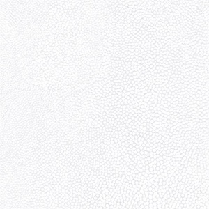 Shimmering White Textured Spot Wallpaper