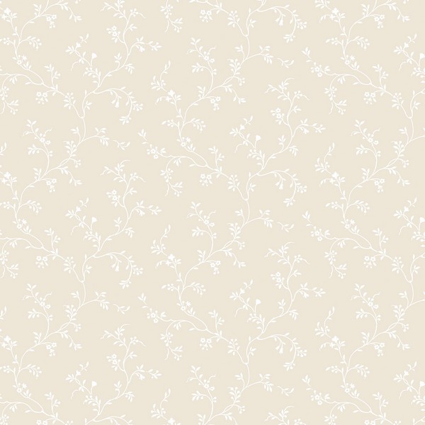 Siena's Trail Wallpaper