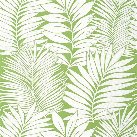 Siesta Key Wallpaper