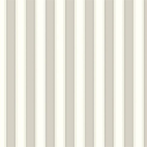 Stripes Silk Stripe