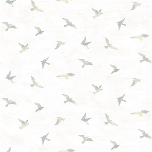 Soar Grey Bird Wallpaper