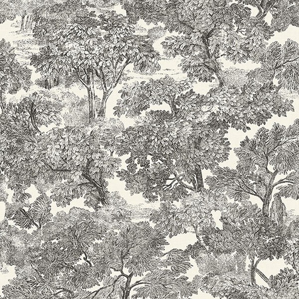 Spinney Black Toile Wallpaper