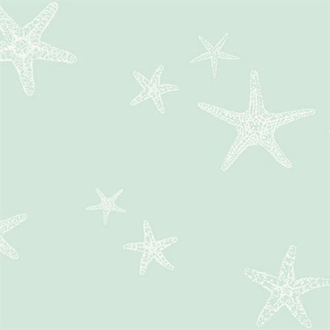 Starview Starfish Contemporary