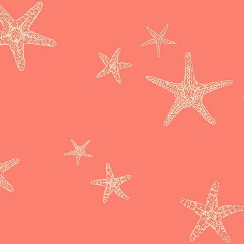 Starview Starfish Contemporary