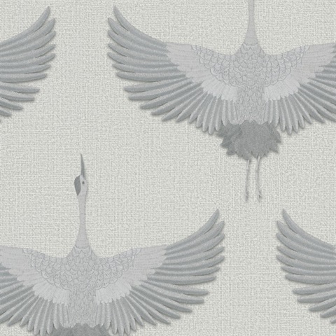 Stork
