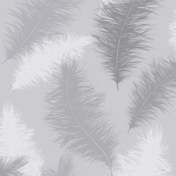 Sussurro Grey Feathers Wallpaper