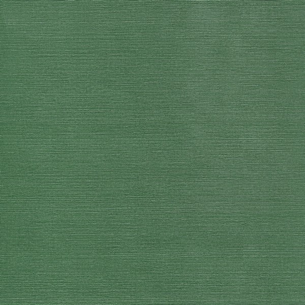 Taluk Sisal Forest Green Wallpaper