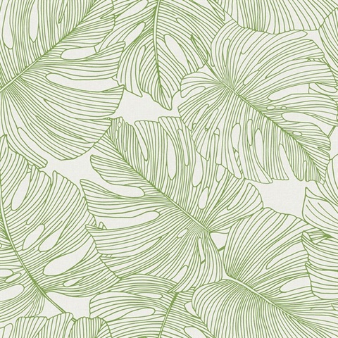 Tarra Monstera Leaf