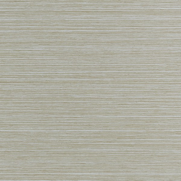 Tenaya Fog Wallpaper