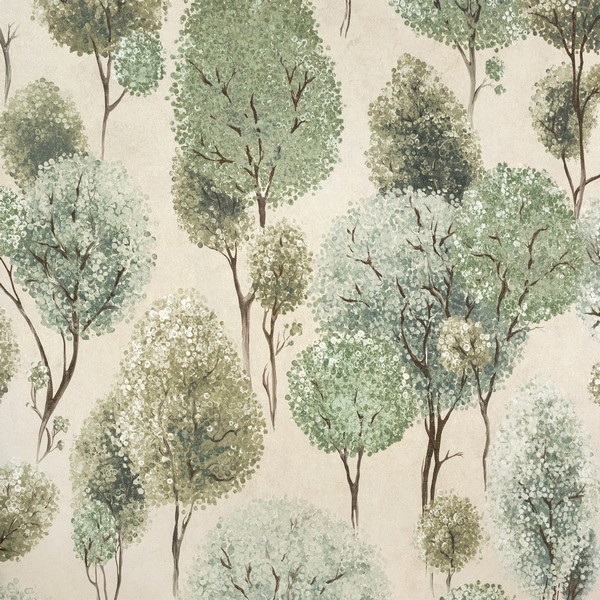 Tilia