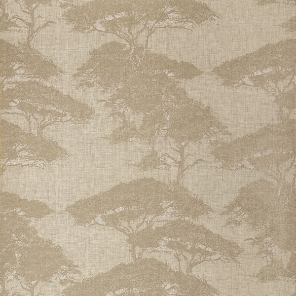 Torrey Pines Champagne Wallpaper