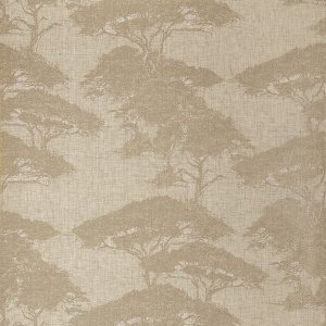 Torrey Pines Champagne Wallpaper