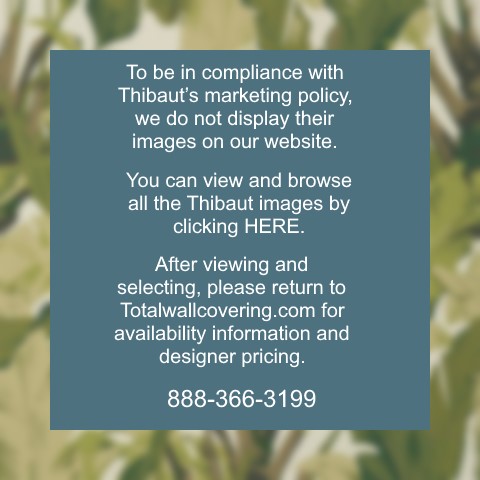 Travelers Palm