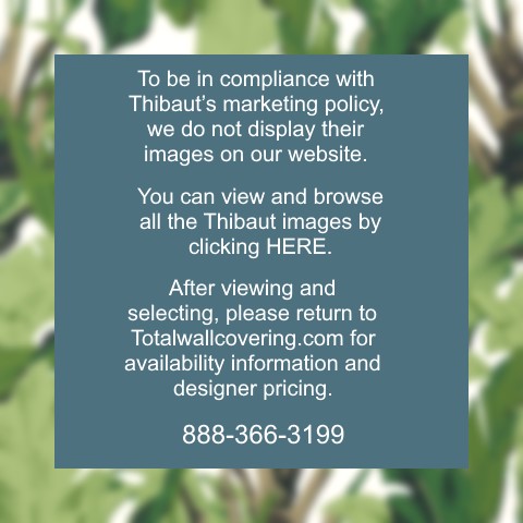 Travelers Palm
