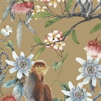 Lemur Wallpaper