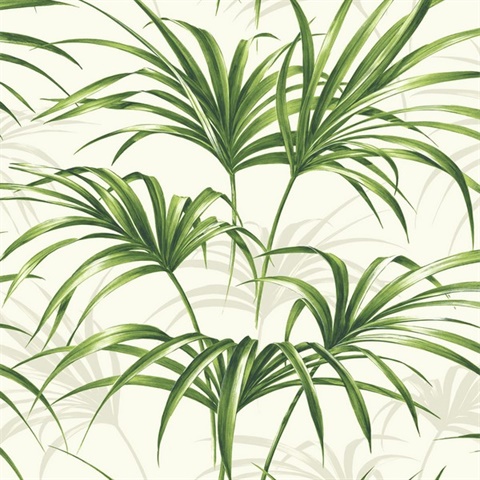 Tropical Palm Leaf