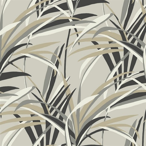 Tropical Paradise Wallpaper