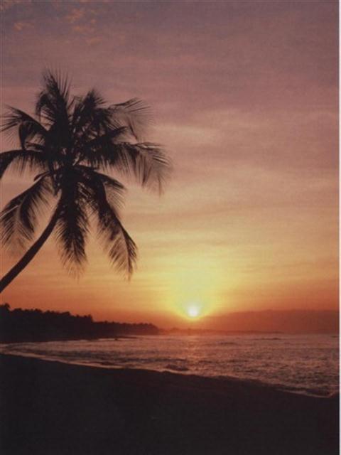 Tropical Sunset