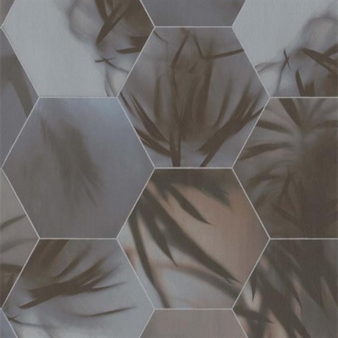 Tropical Tessellation