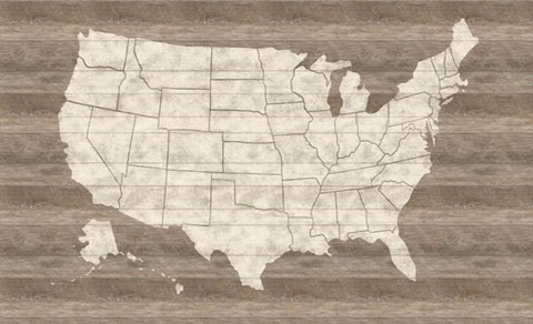 United States Map Mural