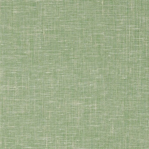 Villa Garden Texture