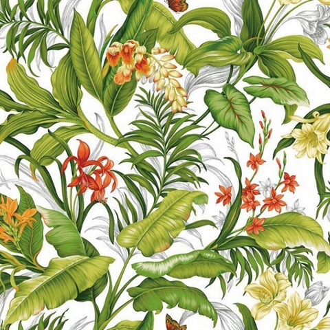 Wailea Coast P & S Wallpaper