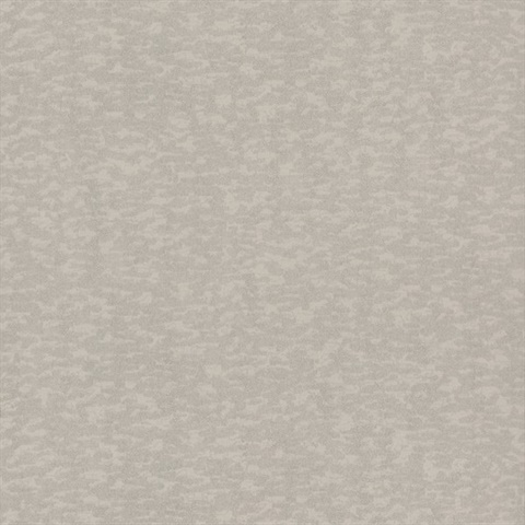 Weathered Cypress Wallpaper