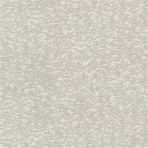 Weathered Cypress Wallpaper