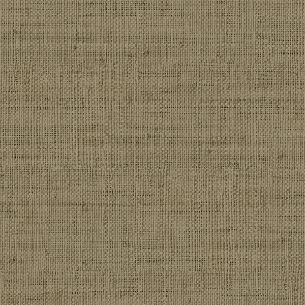 Wild Bind Cafe Latte Wallpaper