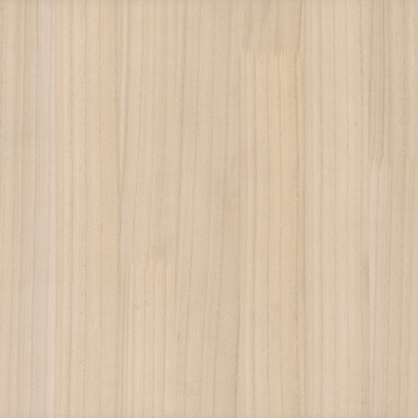 Wood Veneer Beech Wallpaper