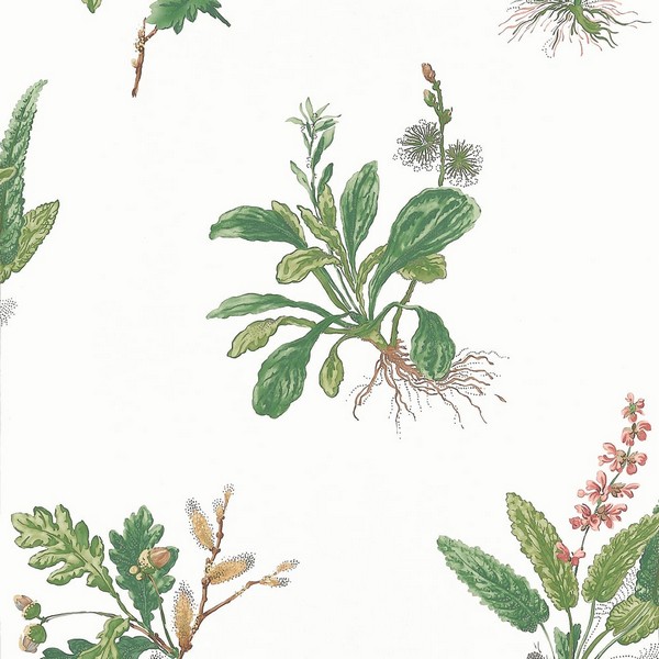Woodland Green and Blush Wallpaper
