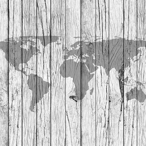 World Map Timber Wall Mural