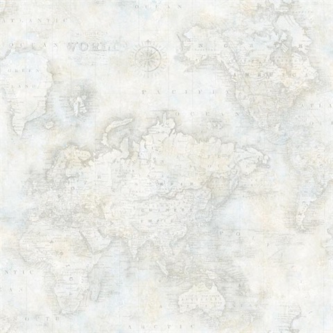 World Map Toile