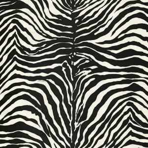 Zebra Dolce