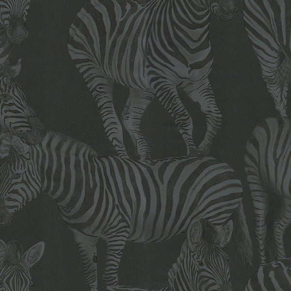Zebra Romance